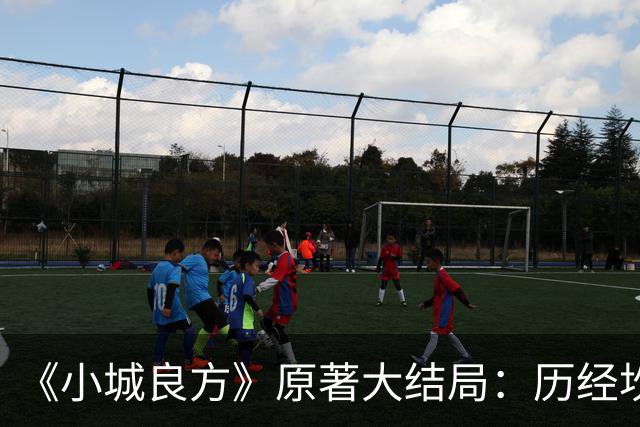 《小城良方》原著大结局：历经坎坷，刘铮亮艾辰终成眷属